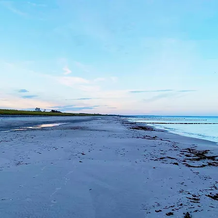 Grosse Welle - Moderne 2,5-zimmer Mit Suedbalkon Und Boddenblick Daire *
